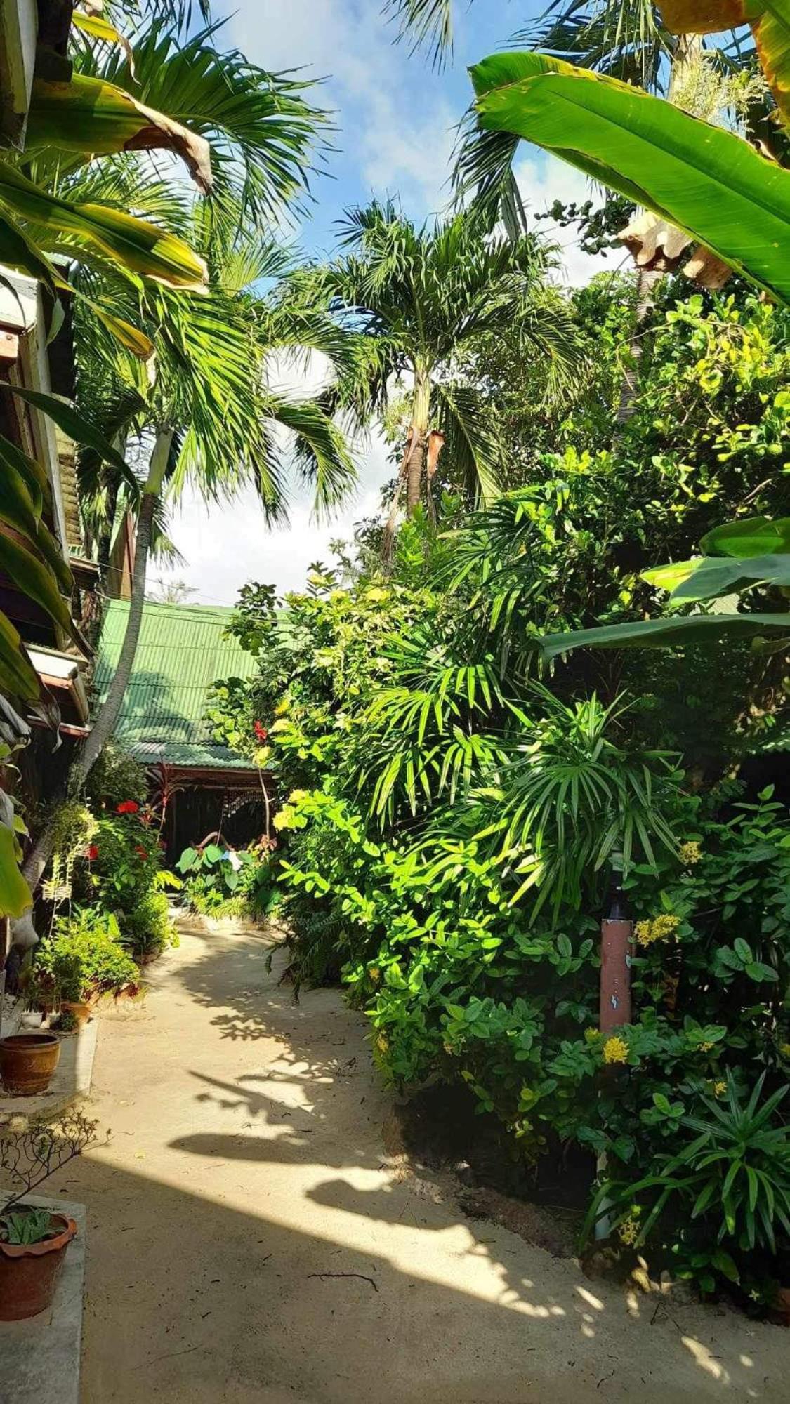 Beer'S House Bungalows เบียร์เฮ้าส์บังกะโล Ban Lamai Екстериор снимка